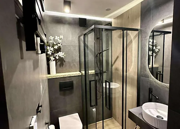 Pod Tatrami - Under The Tatras ザコパネ